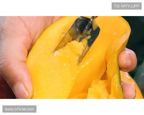 如何快速下载芒果体育app下载到您的安卓设备上享受高清赛事直播