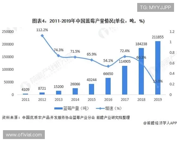 明发体育品牌核心价值与未来发展战略深入探讨与分析
